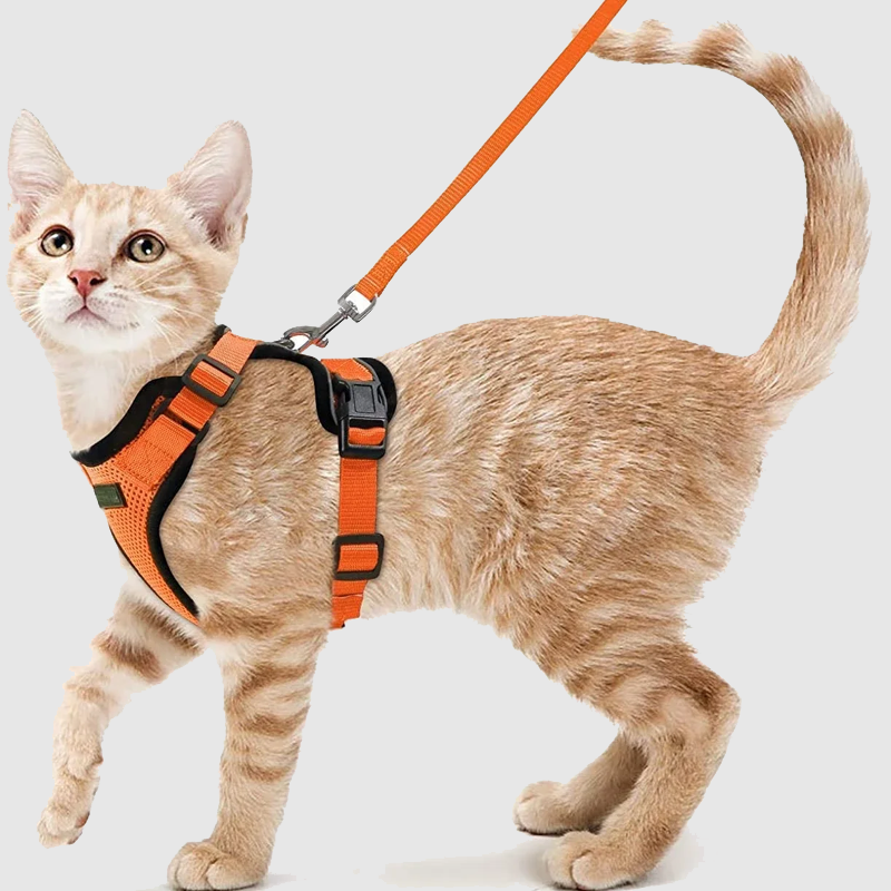 Cat Harness and Leash Set.