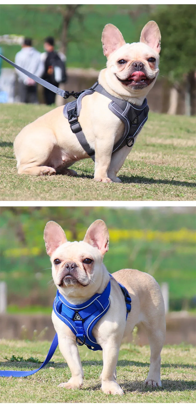 Cozy Cat Pet Harness and Leash