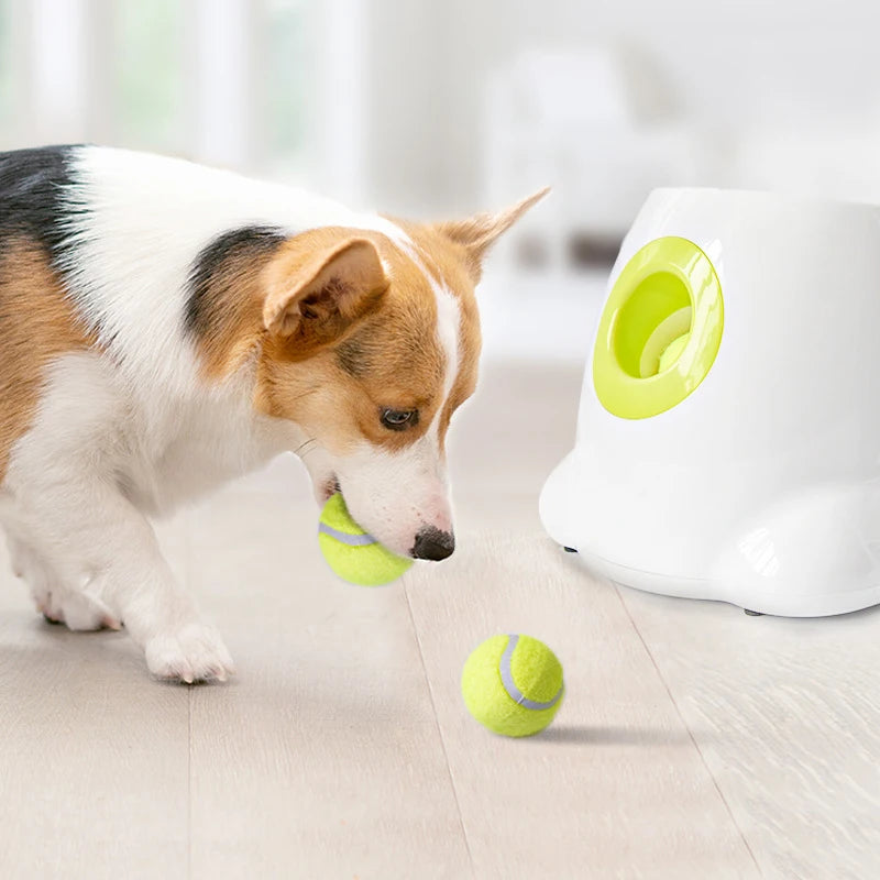 Automatic Pet Tennis Launcher