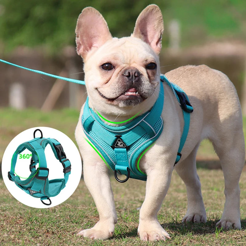 Cozy Cat Pet Harness and Leash