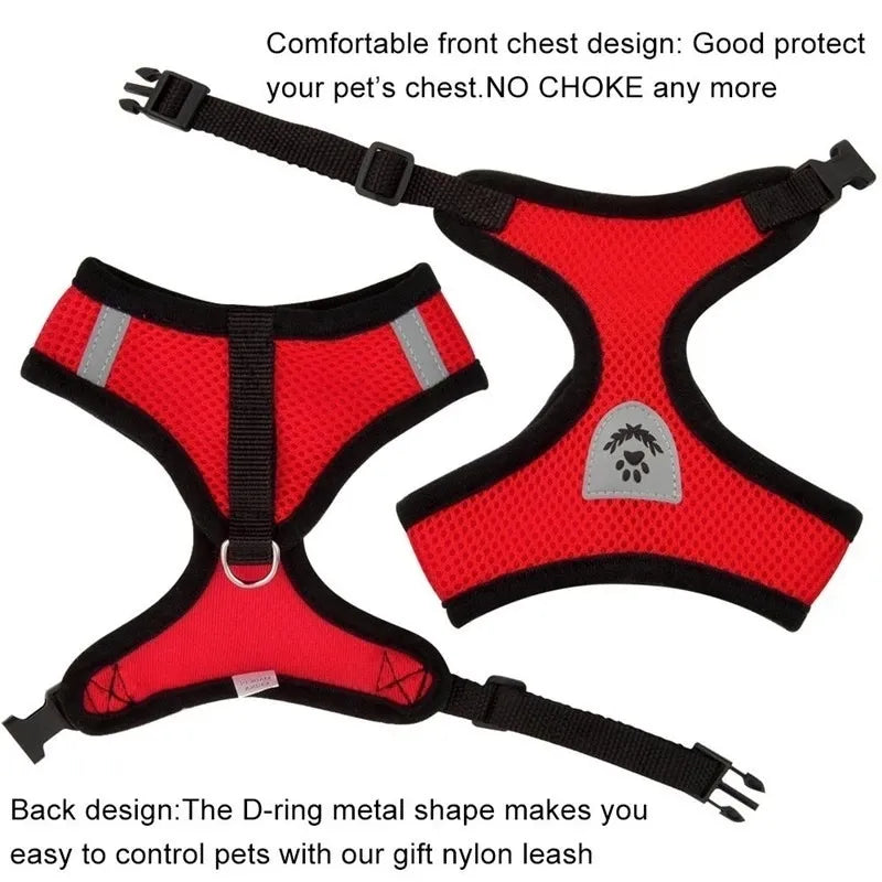 Cat Harness and Leash Set.