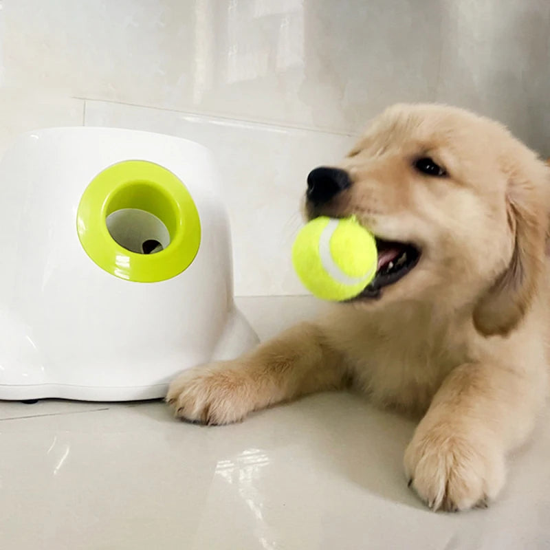 Automatic Pet Tennis Launcher