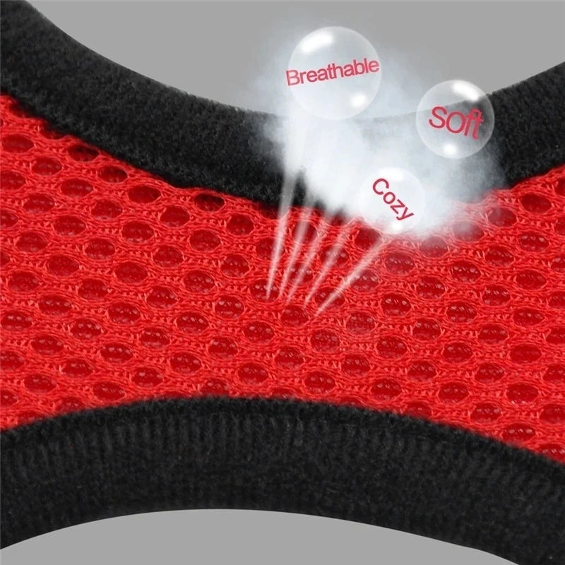 Cat Harness and Leash Set.
