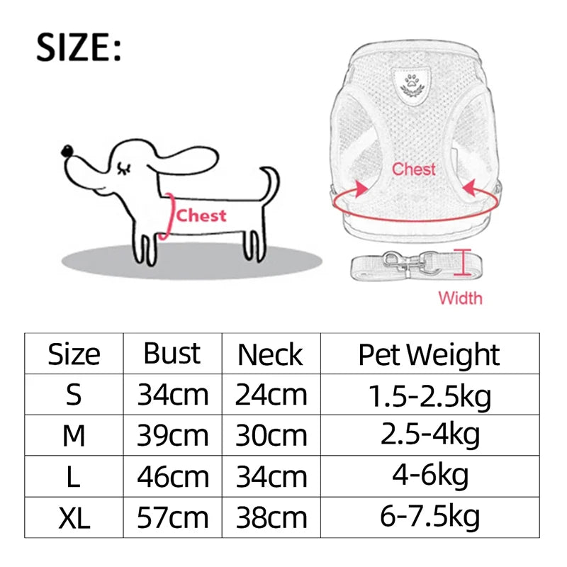 Cat Harness and Leash Set.
