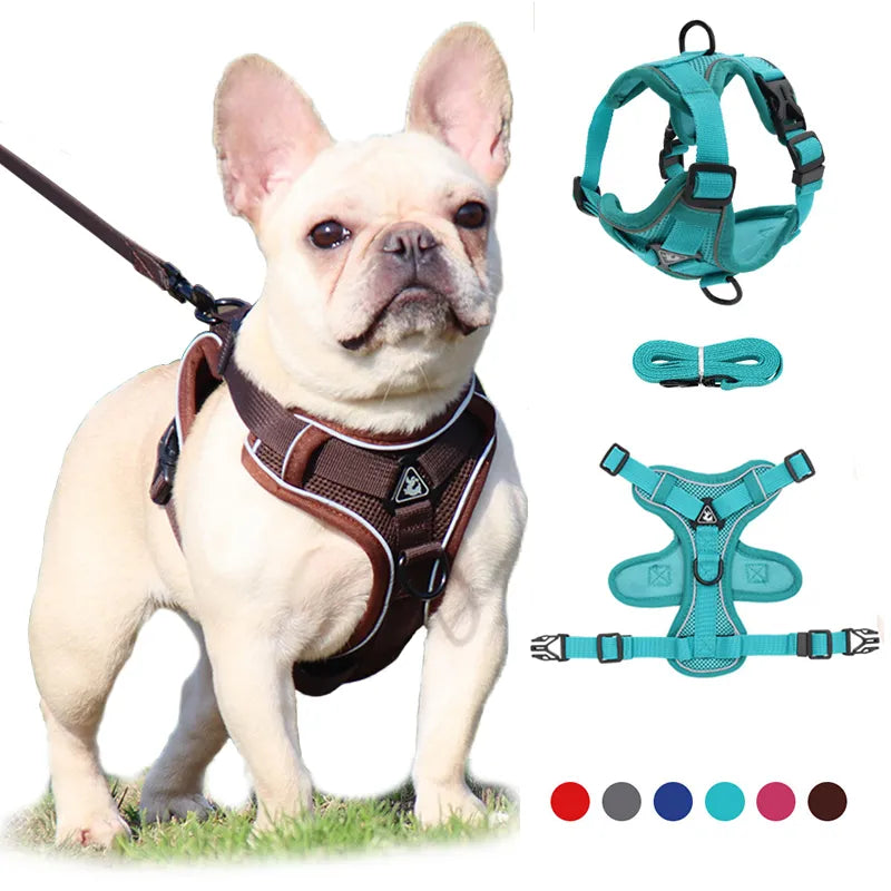 Cozy Cat Pet Harness and Leash