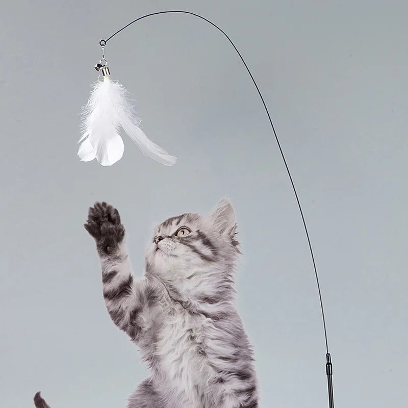 Cat Toy Cat Feather Stick