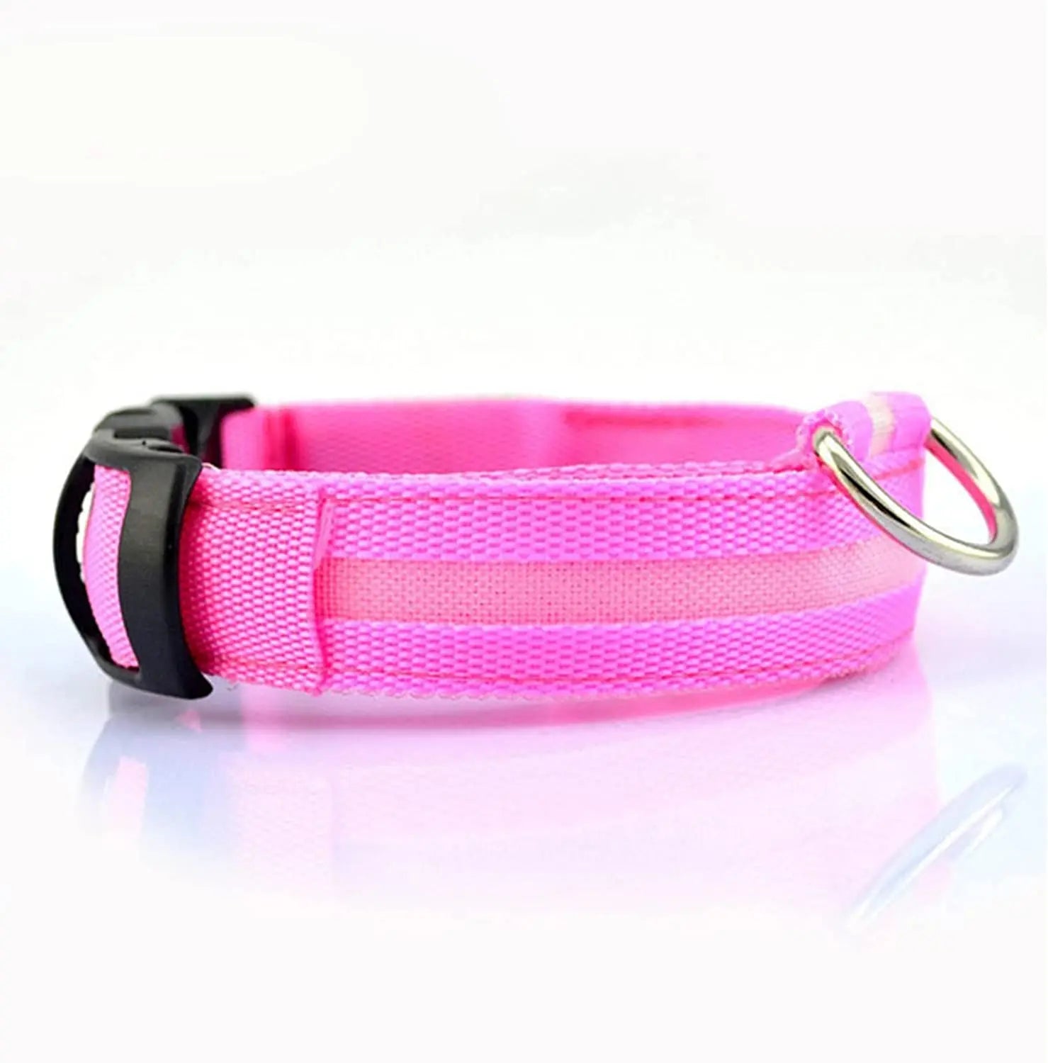 Safety Dog LED Collar.