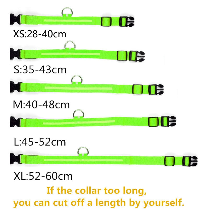 Safety Dog LED Collar.