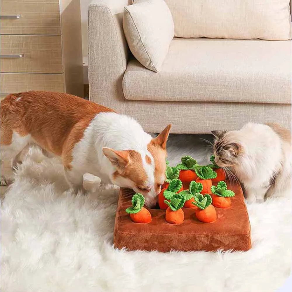 Pet Carrot Plush Toy
