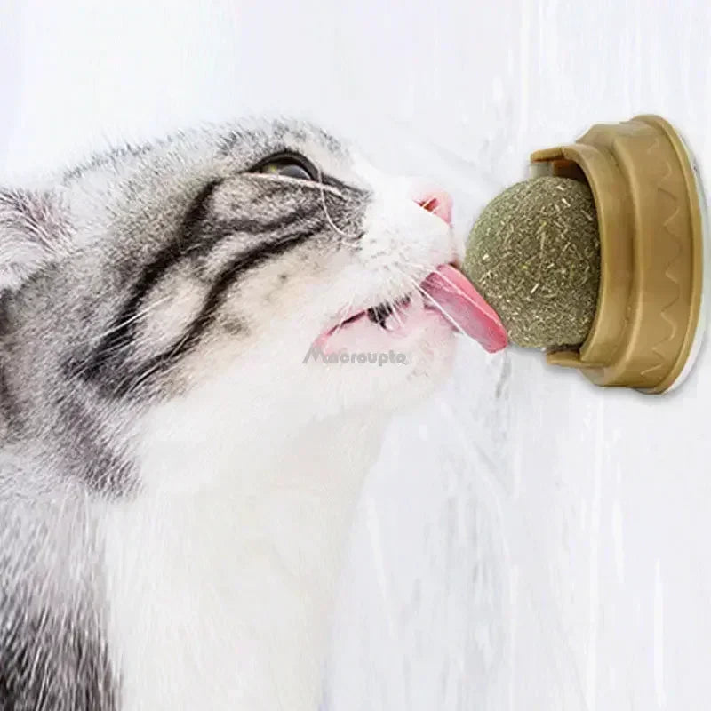 Crab Catnip Spinning Ball