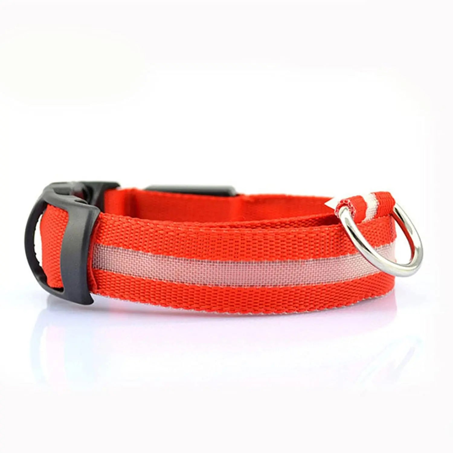 Safety Dog LED Collar.