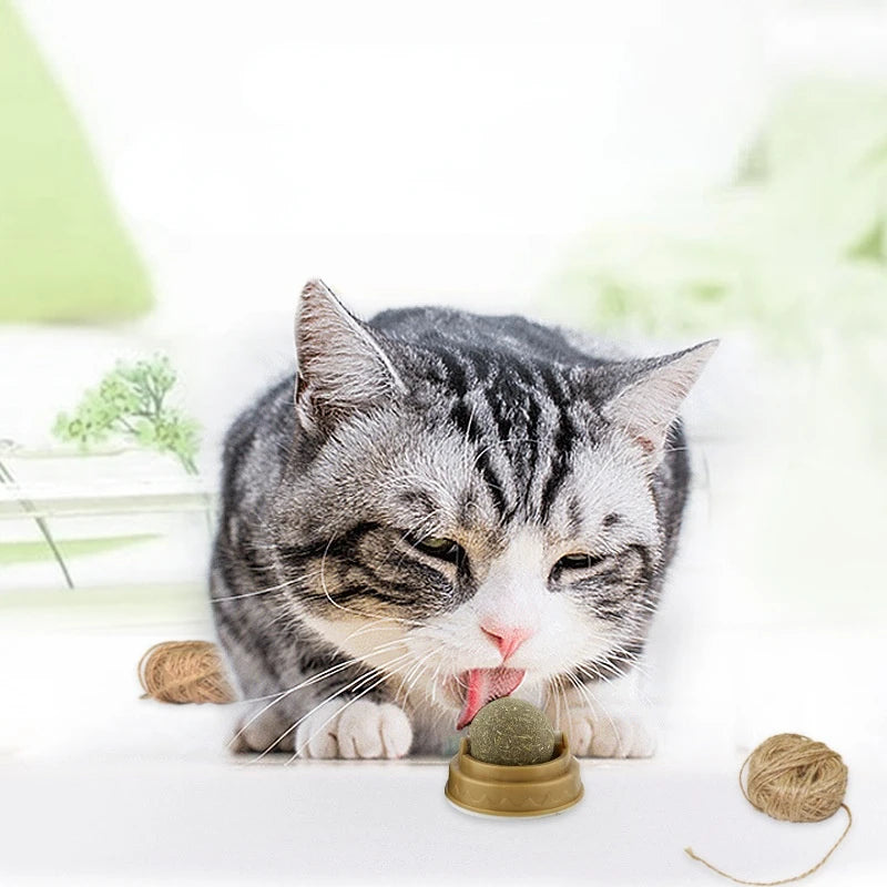 Crab Catnip Spinning Ball