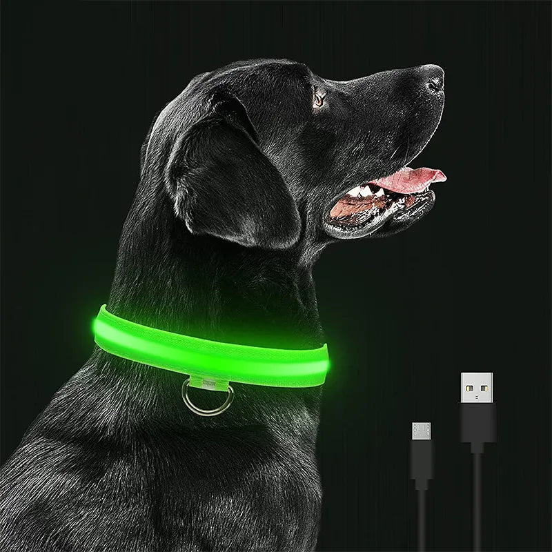 Safety Dog LED Collar.