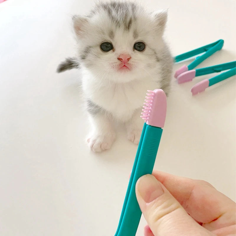 Cat Eye Comb Brush