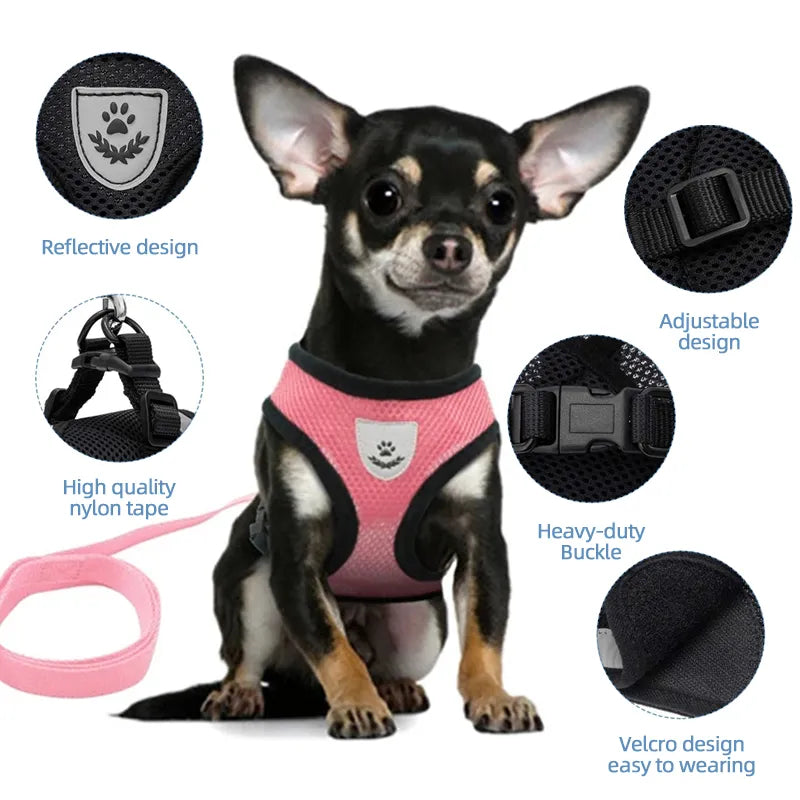 Cat Harness and Leash Set.
