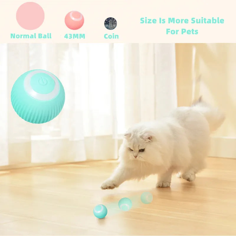 Smart Rolling Ball Teasing Toy