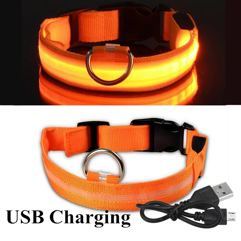 Safety Dog LED Collar.