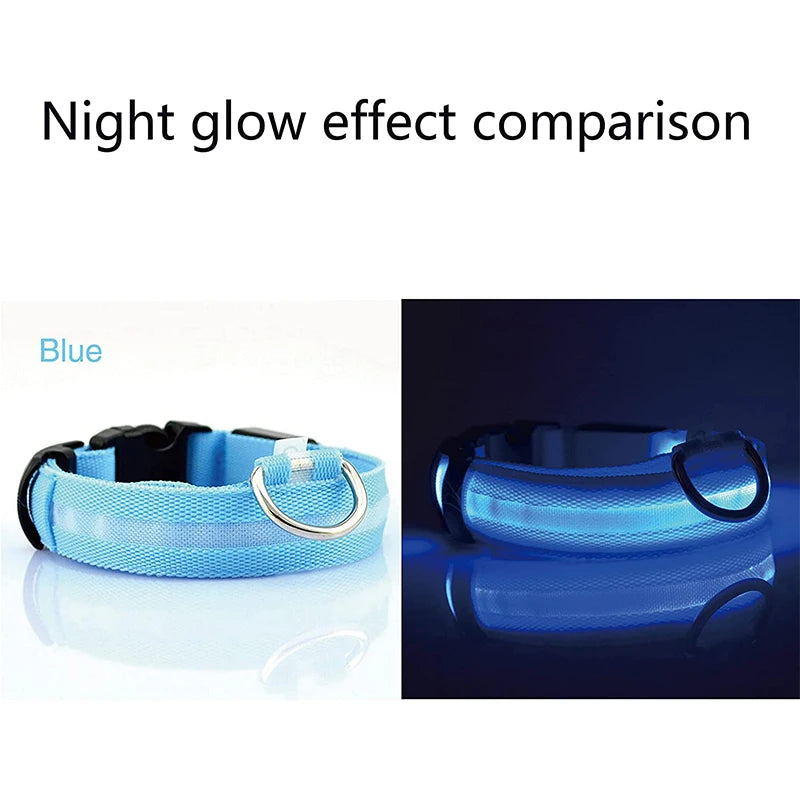 Safety Dog LED Collar.