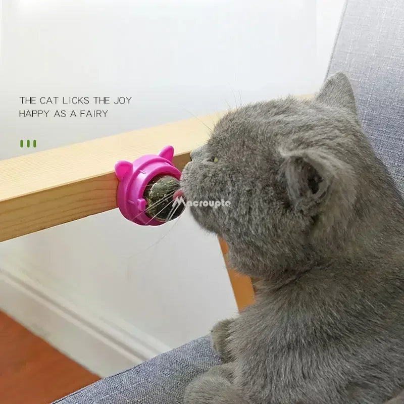Crab Catnip Spinning Ball