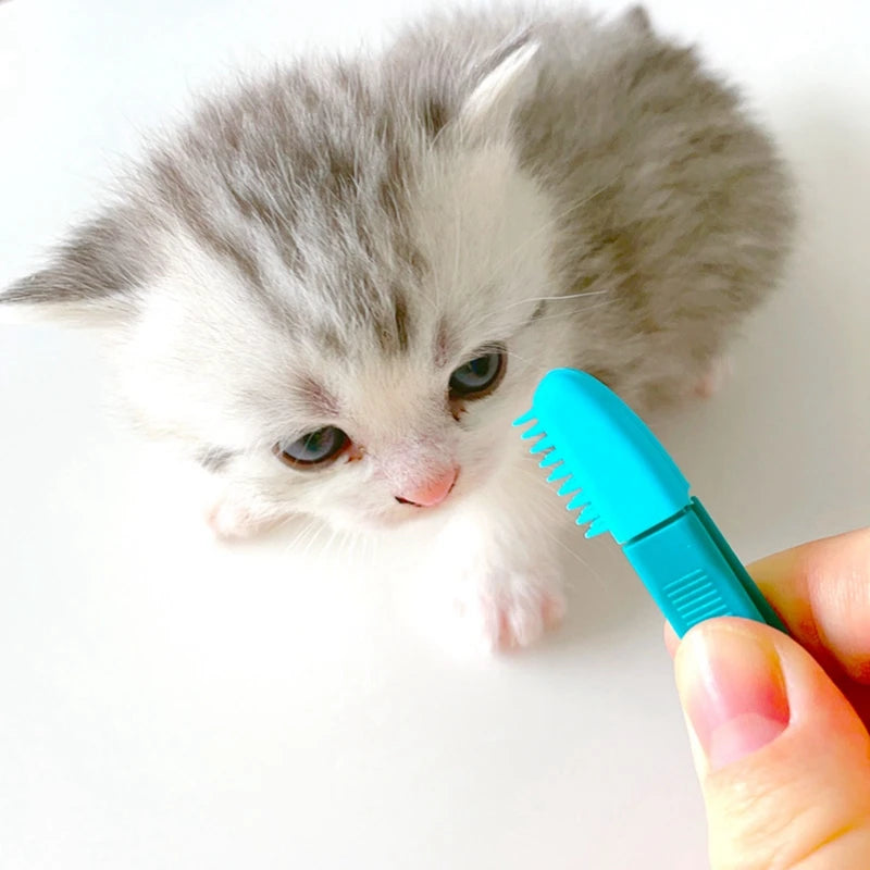 Cat Eye Comb Brush