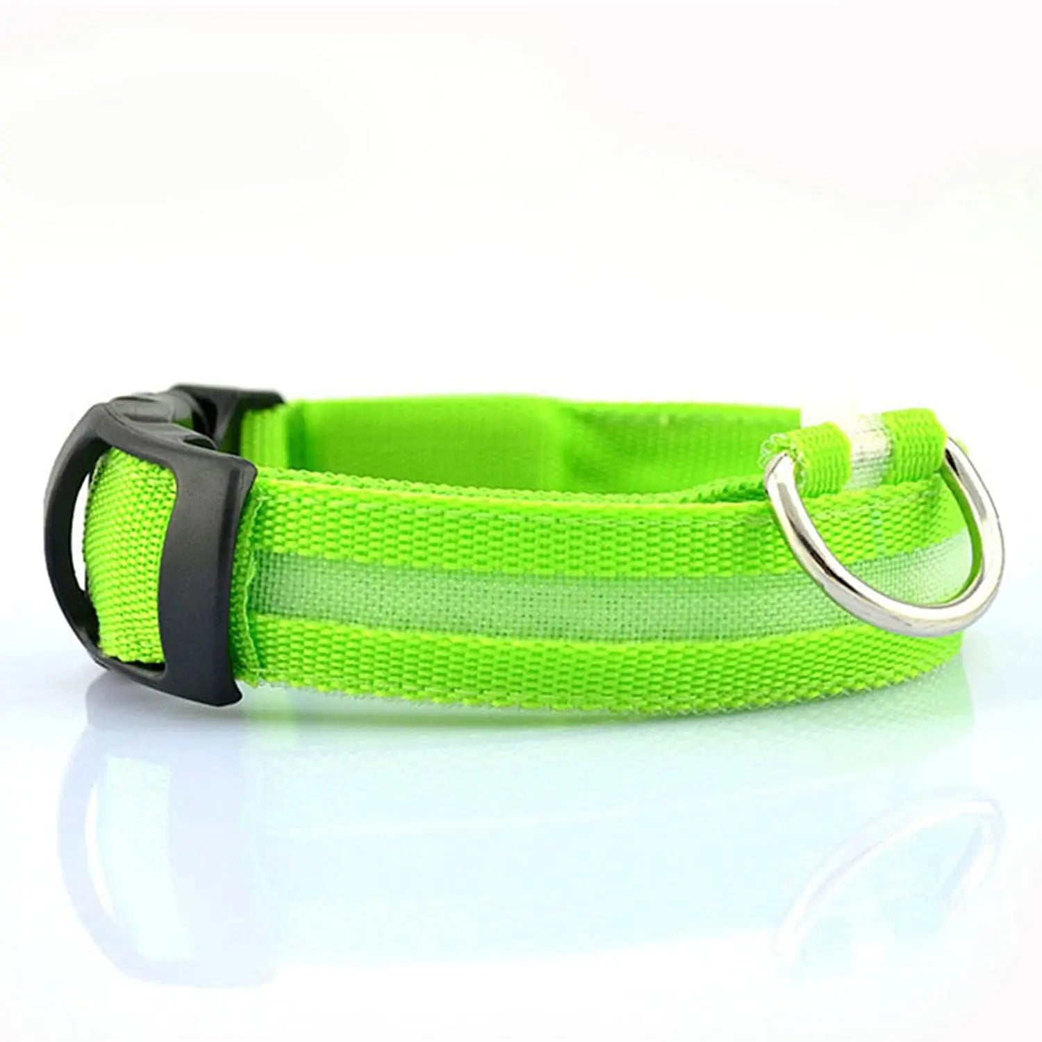 Safety Dog LED Collar.