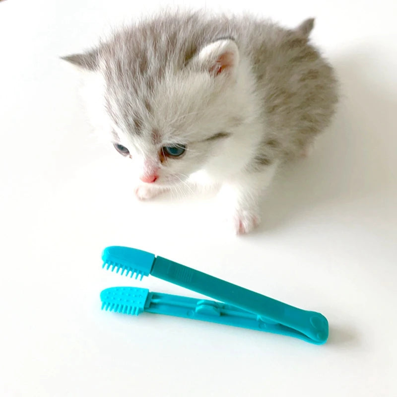 Cat Eye Comb Brush