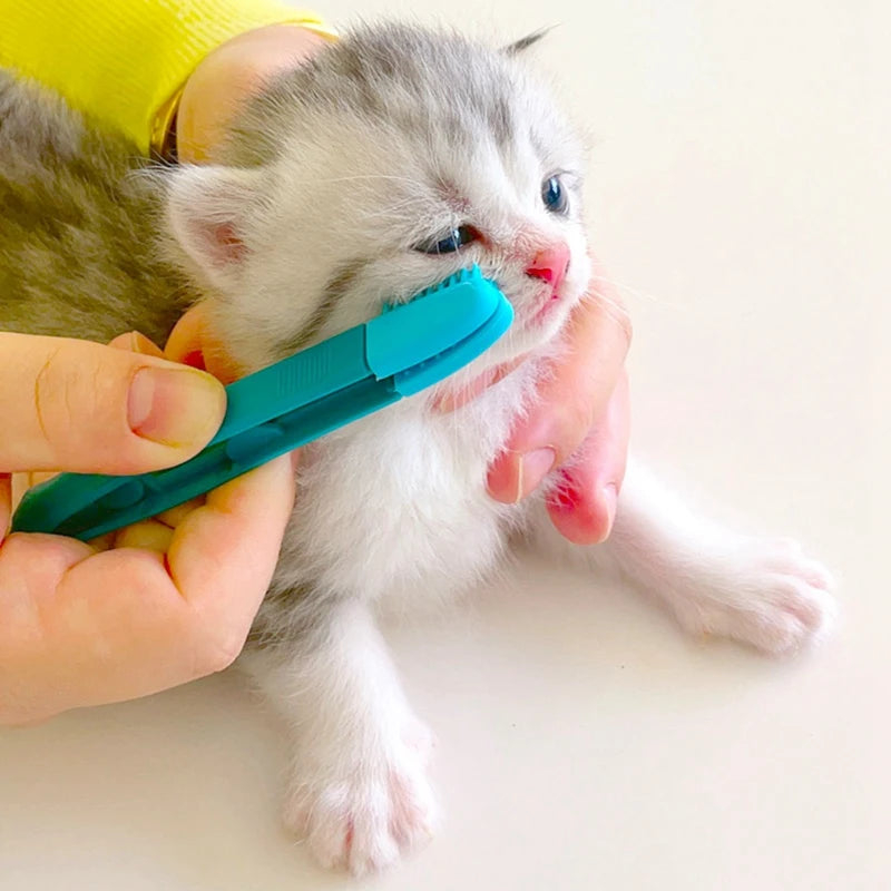 Cat Eye Comb Brush