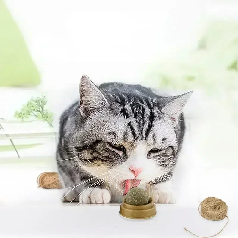 Crab Catnip Spinning Ball