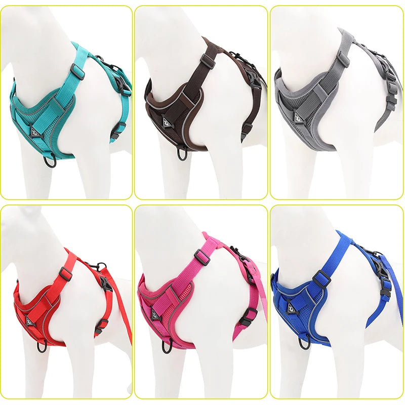 Cozy Cat Pet Harness and Leash