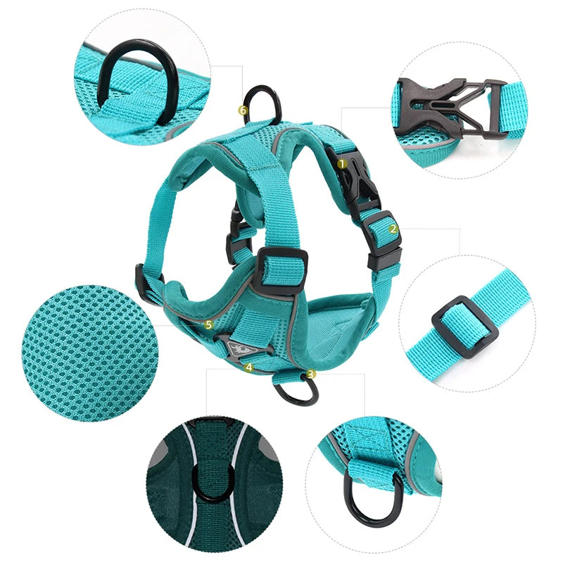 Cozy Cat Pet Harness and Leash