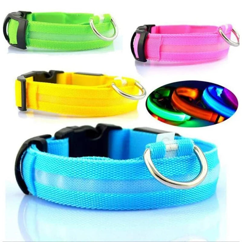 Safety Dog LED Collar.