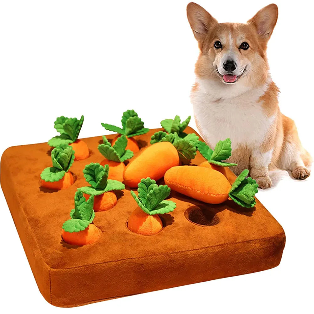 Pet Carrot Plush Toy