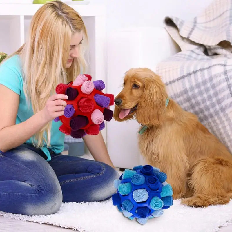 Enrichment Toy Slow Feeder
