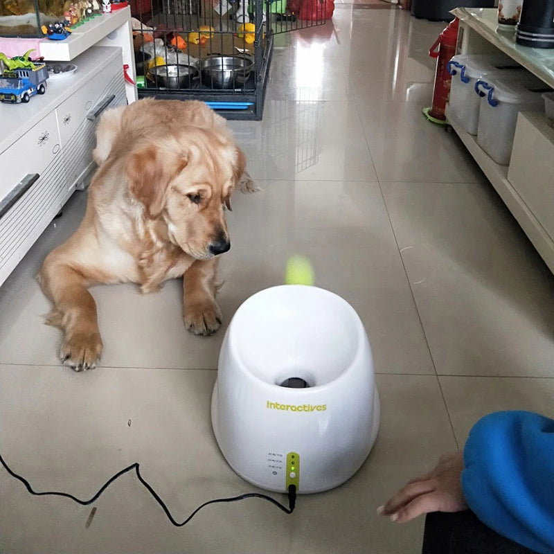 Automatic Pet Tennis Launcher