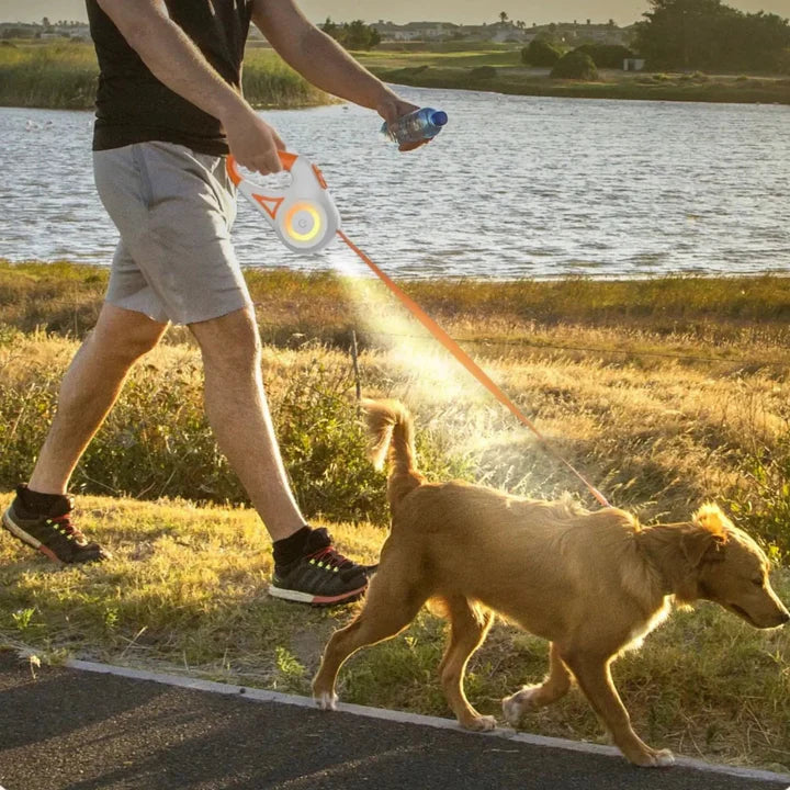 LED Flashlight Pet Leash.
