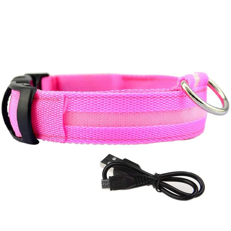 Safety Dog LED Collar.