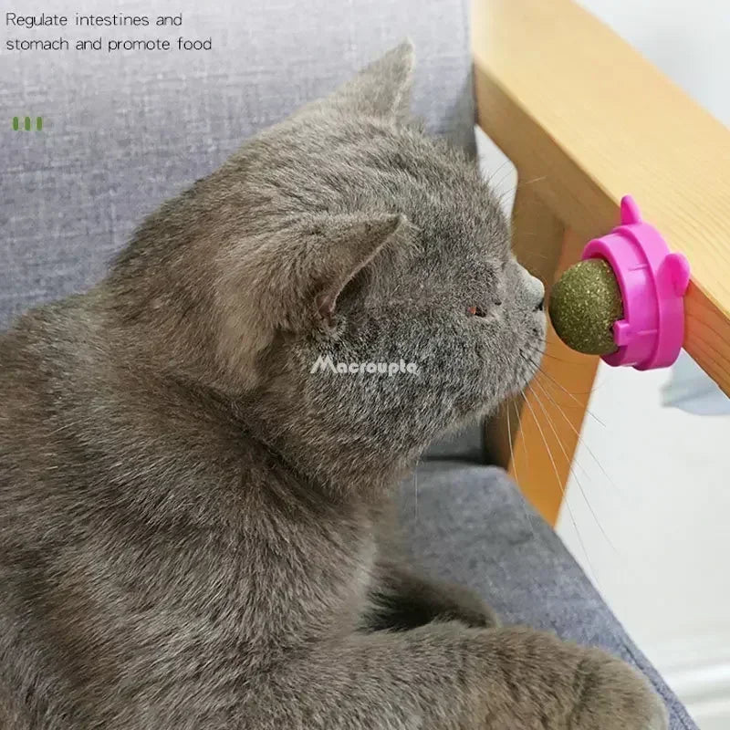 Crab Catnip Spinning Ball