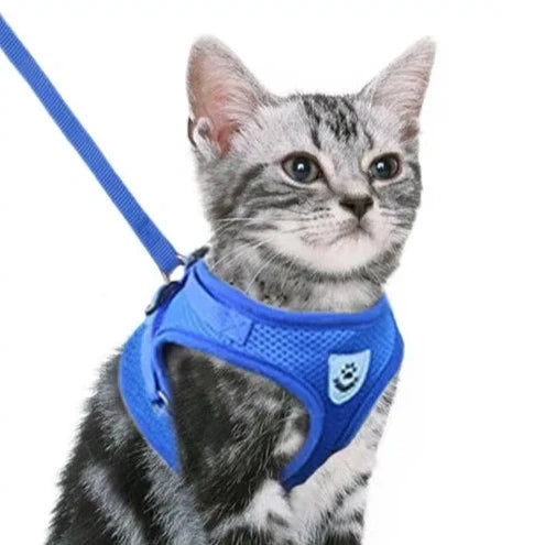 Cat Harness and Leash Set.
