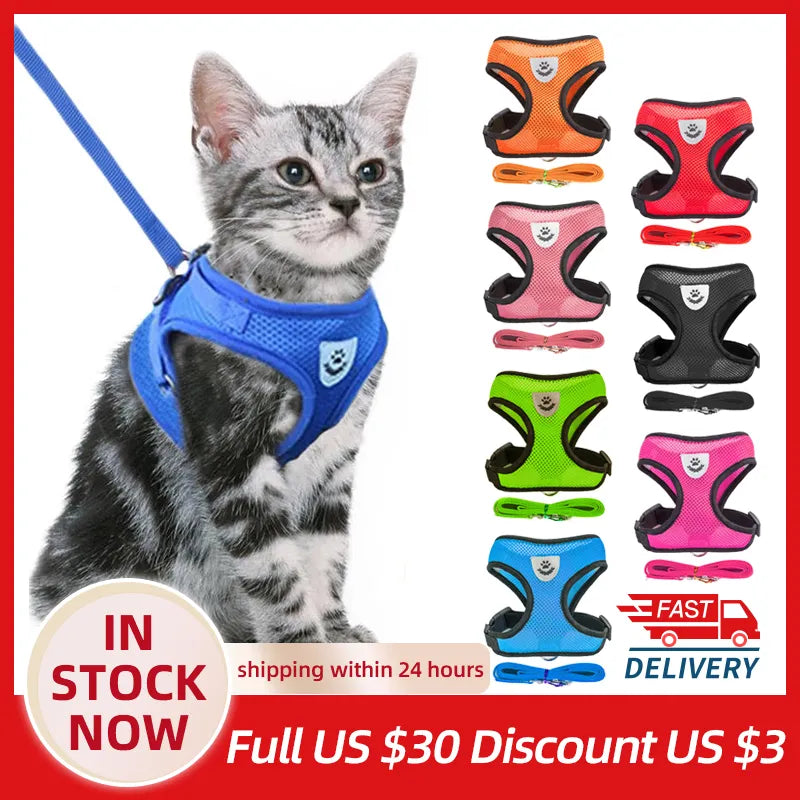 Cat Harness and Leash Set.